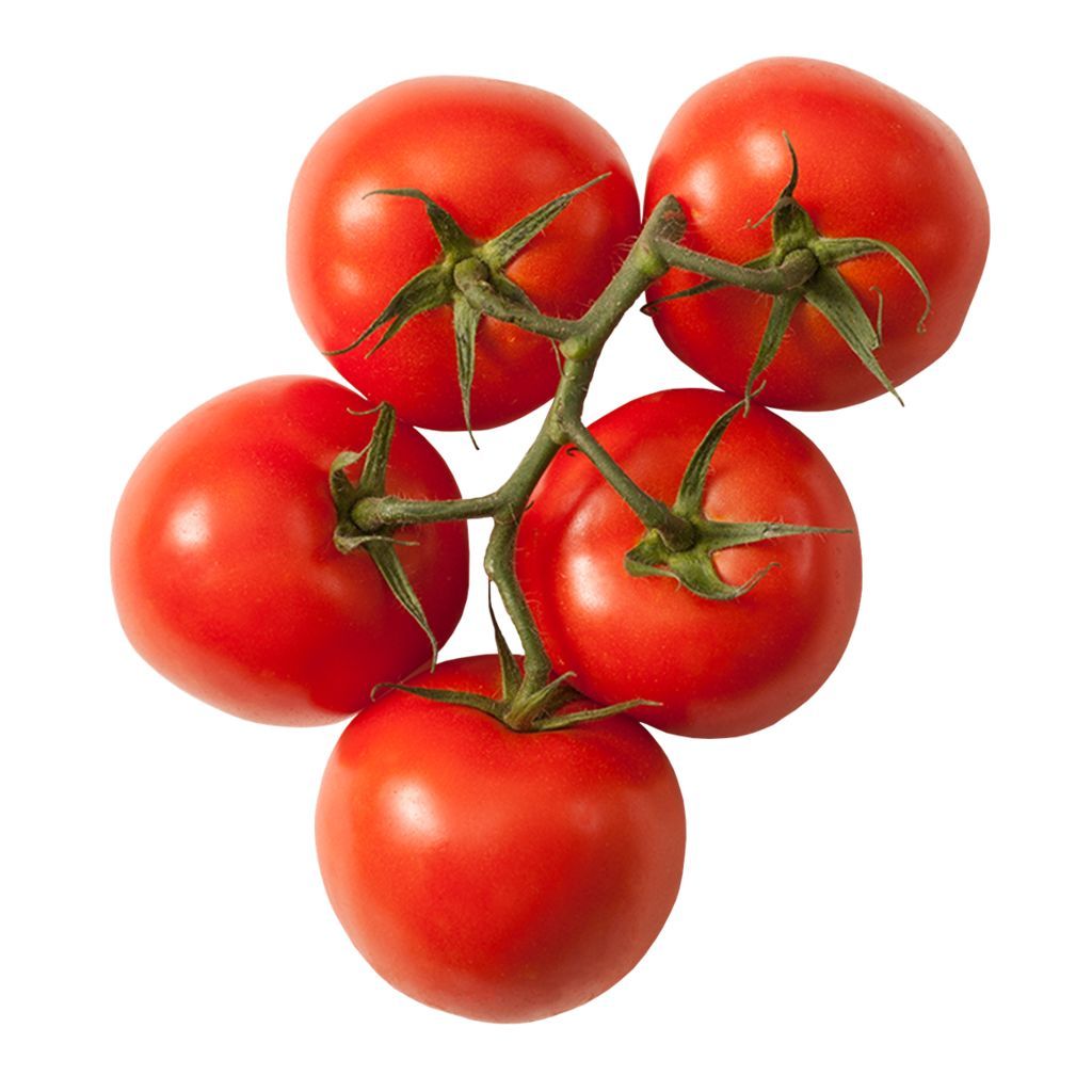 Tomatoes - Vine (11lbs. case) [ONT]
