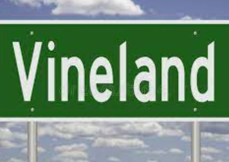 VINELAND DELIVERY