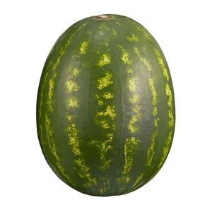 Watermelon - Whole